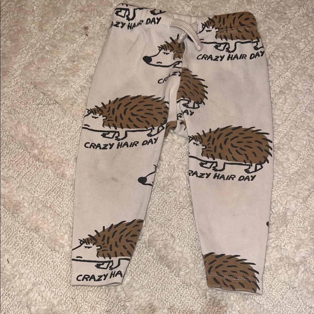 Crazy hair day Zara legging 9/12
